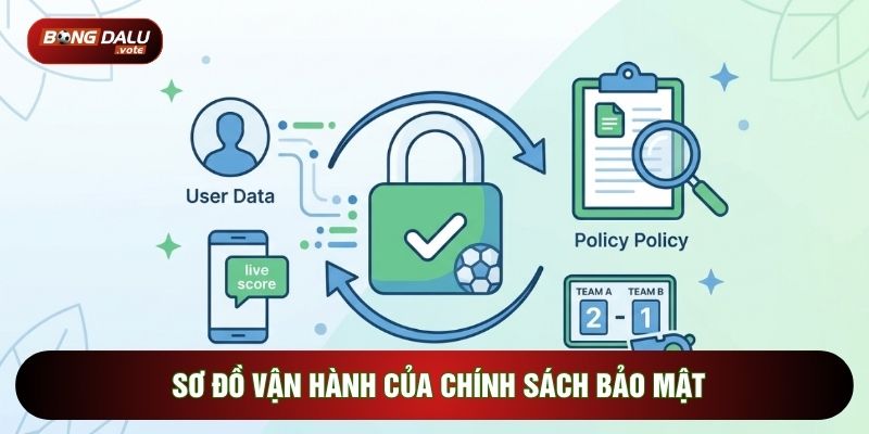 Sơ đồ vận hành của chính sách bảo mật