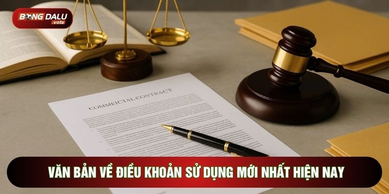 Văn bản về điều khoản sử dụng mới nhất hiện nay