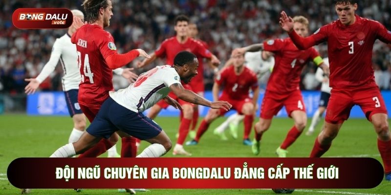 Về Chúng Tôi 3 Đội ngũ chuyên gia Bongdalu đẳng cấp thế giới