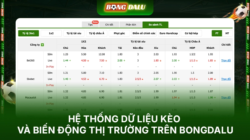 Hệ thống dữ liệu kèo và biến động thị trường trên Bongdalu Hệ thống dữ liệu kèo và biến động thị trường trên Bongdalu