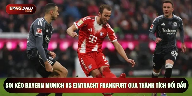 Soi Kèo Bayern Munich vs Eintracht Frankfurt, 21h30 Ngày 21/2 - Vòng 23 Bundesliga 3 Soi kèo Bayern Munich vs Eintracht Frankfurt qua thành tích đối đầu
